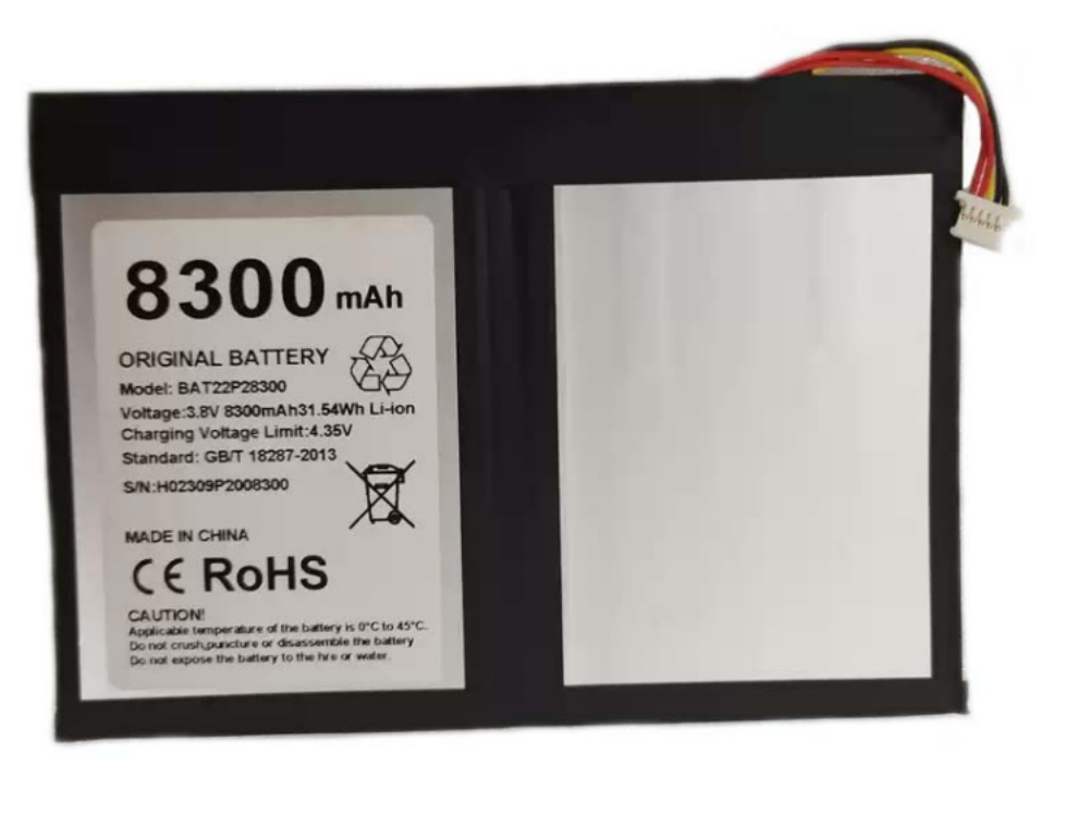 BAT22P28300